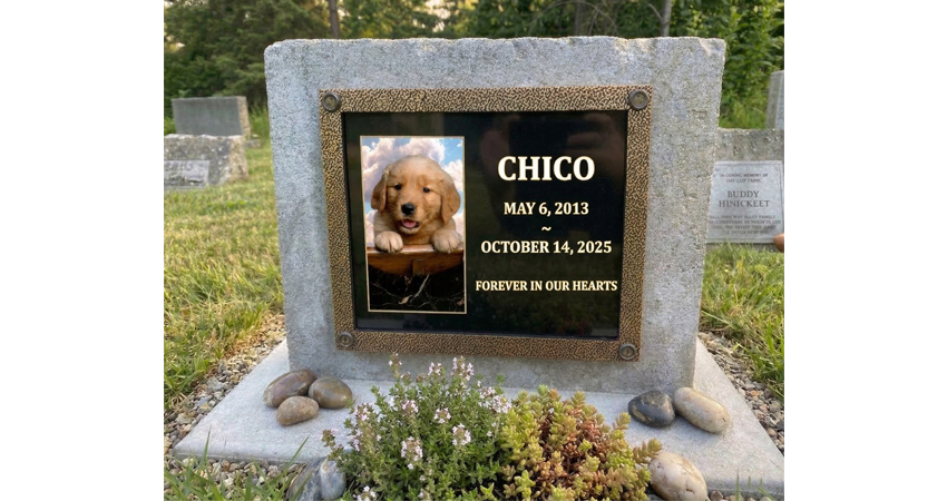 Pet Memorials